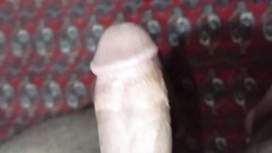 Penis