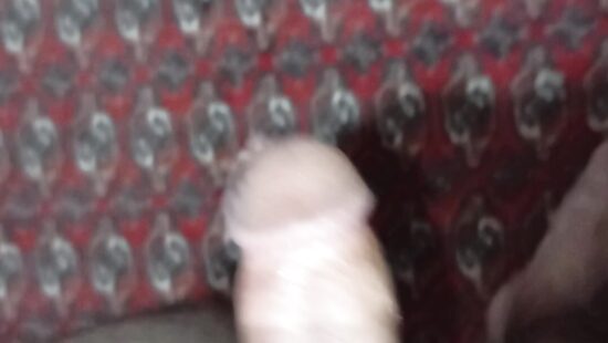 Penis