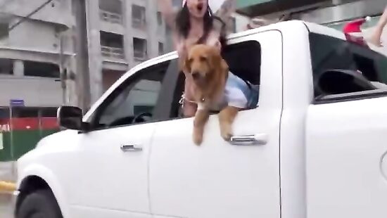 с новым годом, друзья